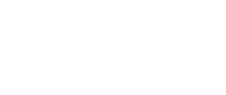 浏览器解锁 - 海龟VPN